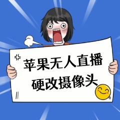 苹果手机硬改（永久）